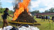 Polres Aceh Besar Bakar 806 Kilogram Ganja Kering