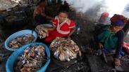 Jumlah Nelayan Berkurang, Perajin Ikan Asap Minim Pasokan