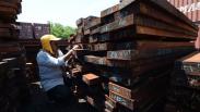 KLHK Sita 384 Kontainer Berisi Kayu Ilegal Asal Papua