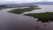 Masuk Kategori Kritis, Begini Kondisi Danau Limboto Gorontalo