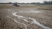 Waduk Botok Sragen Mengering, 2.488 Hektare Sawah Terancam Gagal Panen