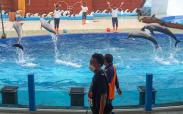  Kabupaten Batang Gelar Simulasi Pembukaan Wisata Batang Dolphins Center