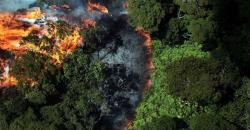 4 Provinsi Dinyatakan Siaga Darurat Kebakaran Hutan dan Lahan