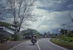 Membelah Hutan, Menuju Pangkalan Bun