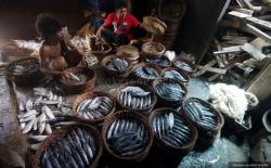 Selain Daging, Bulog Diminta Perhatikan Ketersedian Stok Ikan