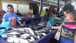 Akibat Cuaca Ekstrem, Harga Ikan Segar di Medan Melambung