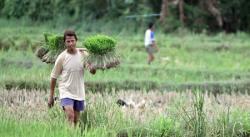 Minim Lahan, Ini Cara Tingkatkan Produktivitas Petani