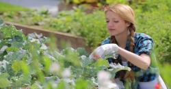 5 Makanan Sehat Pencegah Kanker