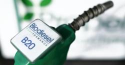 HIP BBN April: Biodiesel Rp7.387 dan Bioetanol Rp10.178
