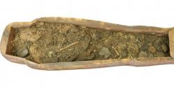 Peti Mati di Museum Dikira Kosong, Ternyata Ada Mumi 2.500 Tahun