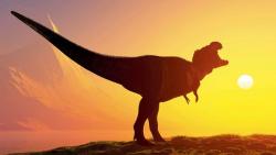 Fosil Dinosaurus Seukuran Kalkun Ditemukan di Australia