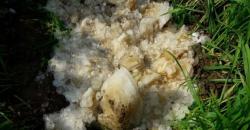 Bola Es Jatuh dari Langit Dikira Makhluk Ruang Angkasa, ternyataâ€¦