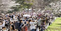 Istana Kekaisaran Jepang Dipadati Ribuan 