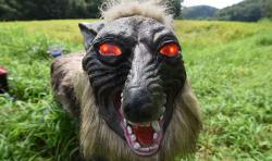 Wow, Jepang Buat 'Serigala Super Monster' untuk Jaga Sawah