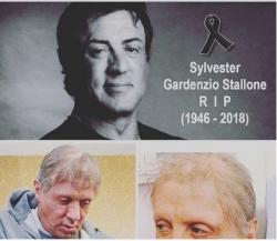 Dikabarkan Meninggal, Sylvester Stallone: Saya Masih Sehat