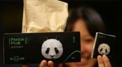 Kotoran Panda Dijadikan Tisu, Berminat?