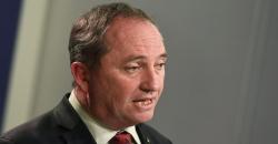 Heboh, Wakil Perdana Menteri Australia Dituduh Selingkuh dengan Staf