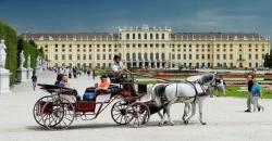 10 Kota dengan Kualitas Hidup Terbaik di Dunia, Wina Teratas