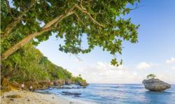 Berlibur di Pulau Christmas, Serunya Lihat Kepiting Merah Bertelur