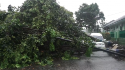 Angin Puting Beliung Melanda Banjarnegara, Satu Orang Tewas