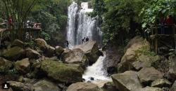 Ada di Tengah Hutan Bambu, Curug Gending Asmoro Lagi Hits di Semarang