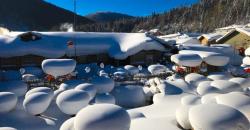 Keren, Ratusan Jamur Putih Raksasa Selimuti Kampung Salju di Tiongkok