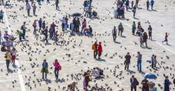 Objek Wisatanya Diincar Turis Dunia, 7 Negara Ini Bikin Aturan Ketat