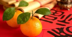 Jeruk Mandarin Selalu Ada saat Imlek, Ini Alasannya
