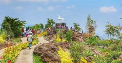 Weekend, Berwisata ke Kebun Raya Kuningan Lihat Tumbuhan Unik