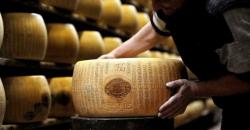 6 Pilihan Wisata Pencinta Keju, Kunjungi Alkmaar Cheese Market Belanda