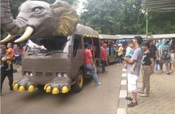 Kunjungi Ragunan, Ada Satwa yang Tidur Siang Hari