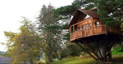 Rumah Pohon Paling Menakjubkan di Dunia, Bisa Menikmati Pantai Meksiko