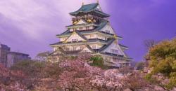 3 Spot Terbaik Lihat Bunga Sakura Jepang, Istana Osaka Paling Indah