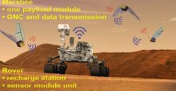 Robot Serangga NASA Bakal Jelajah Mars di Masa Depan