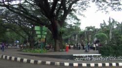 Ada Lonjakan 4 Kali Lipat, Pengunjung Ragunan Hari Ini 14.000 Orang