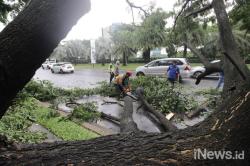 Ganjar dan Rombongan Kagama Terjebak Pohon Tumbang di Lombok Barat