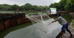 Tanding Renang dengan Menteri Susi, Sandi Mengaku Rutin Latihan Fisik