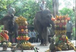 Satwa di Bonbin Gembiraloka Dapat Gunungan Buah-buahan