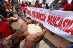 Unjuk Rasa Tolak Kebijakan Impor Beras