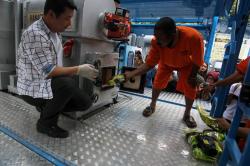 BNN Musnahkan 40,1 Kg Sabu Jaringan Malaysia-Aceh