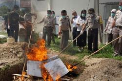 Ribuan Daging Tikus Beku Dimusnahkan