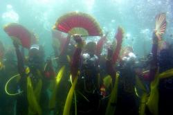 20 Penari Bawah Laut Meriahkan Banyuwangi Underwater Festival