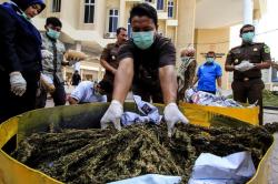 Barang Bukti 19,6 Kg Ganja Dimusnahkan Kejari Lhokseumawe