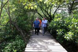 Wali Kota Liverpool Jalan-Jalan ke Hutan Mangrove Surabaya