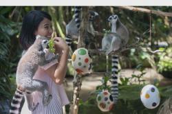 Seru, Berlibur dengan Hewan Liar di Bali Zoo