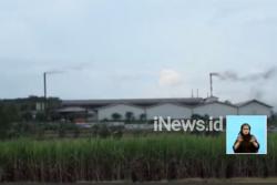 Akibat Limbah Pabrik, Warga Mojokerto Alami Gatal-Gatal
