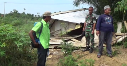 Kawanan Gajah Liar Kembali Rusak Kebun dan Rumah Warga di Aceh