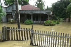 Hujan Berintensitas Tinggi, Ratusan Rumah di Bireuen Terendam Banjir