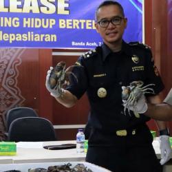 2.500 Kepiting Gagal Diselundupkan dari Bandara Aceh ke Taiwan
