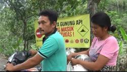 Pengungsi Nekat Pulang ke Zona Merah Mengurus Hewan Ternak